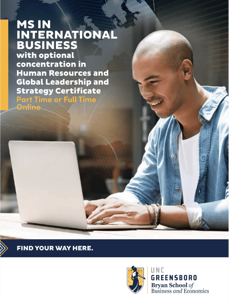 MSIB Download Cover with Person typing on laptop